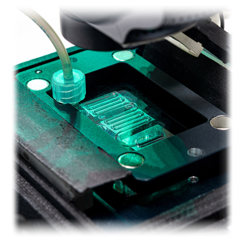 PCR technologies for point-of-care: Point-of-care platform for ultrafast and multiplex PCR