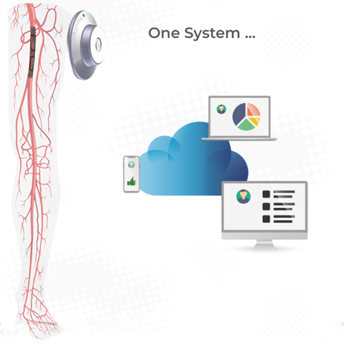 Implantable Sensor System for Wireless Restenosis Detection